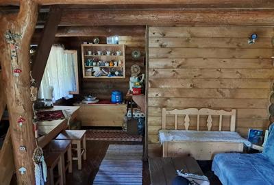 Vand cabana Valea Ariesului - 10