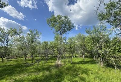 Teren de 15080 mp, în Central - 3