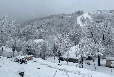Casă cu 4 camere în Central - 2