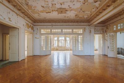 Vila deosebita Lascar Catargiu gradina mare Vila deosebita Lascar Catargiu gradina mare - 7