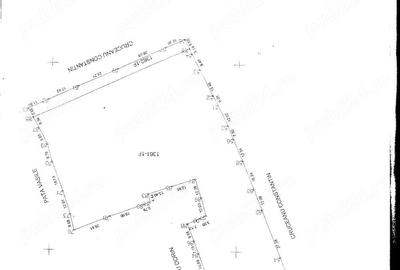 Teren de 10000 mp, în Neagra - 3