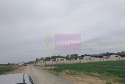 Teren Construcții intravilan de 7567 mp, în Sud - 2