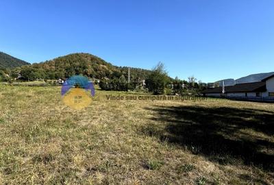 Teren comuna Alexandru cel Bun , drumul spre Bisericani - 7