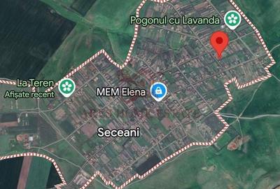 Teren intravilan 1855 mp Seceani, lângă autostradă A1 – Ortisoara - 3