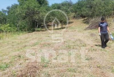 Teren intravilan cu CF 5400mp front 17 Savadisla jud Cluj - 3