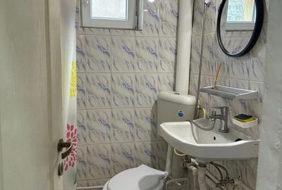 Dau in chirie garsoniera in Mana?tur - 2