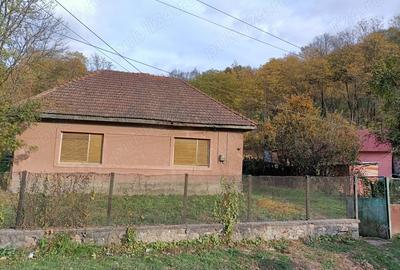 Casa in Dognecea - 2