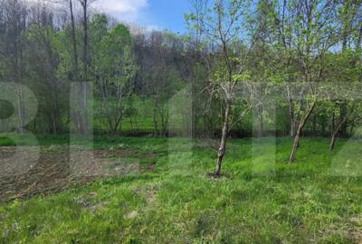 Teren de 6659 mp, în Nisipoasa - 1