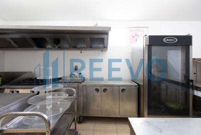 Proprietate specială, în Gârleni - 17