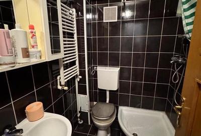 Duplex cu 6 camere cu Canalizare în Vatra Luminoasă - 10