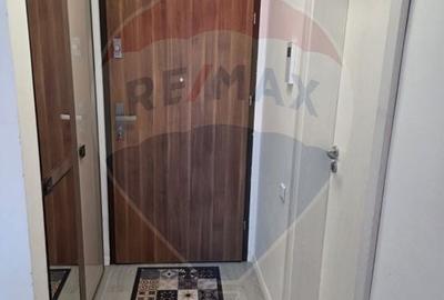 Apartament cu 3 camere decomandat, mobilat în Nufărul - 2