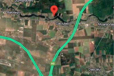 Oportunitate teren in Caciula?i - Moara Vlasiei 27000mp - 3