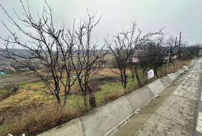 Teren de 2600 mp, în Popricani - 1