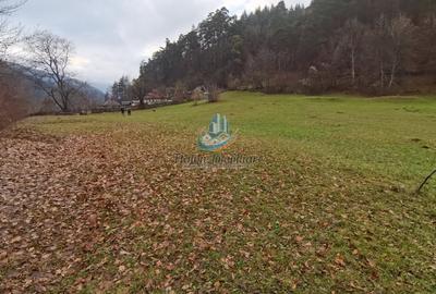 Teren Straja - Pangarati 3560 m, zona de Pensiune Teren Straja - Pangarati 3560 m, zona de Pensiune - 10