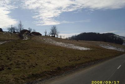 Teren intravilan Rosia, 12 000 mp, cu proiect aprobat. Comision 0. - 9