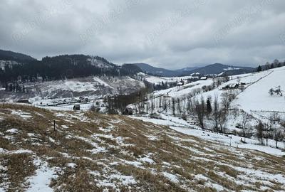 Teren de 12066 mp, în Breaza - 8