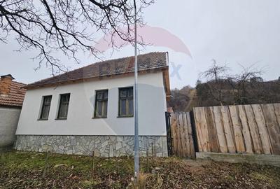 CASA 3 CAMERE SINCA NOUA / 5650 mp teren - 6