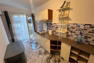 Apartament cu 2 camere semidecomandat, mobilat în Bariera Vâlcii - 3