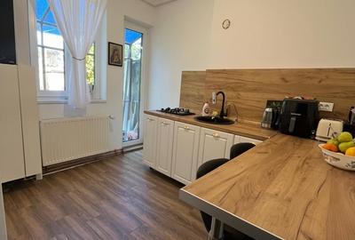 Parcul Carol, Str. Deceneu nr. 8, casa smart spatioasa - 8