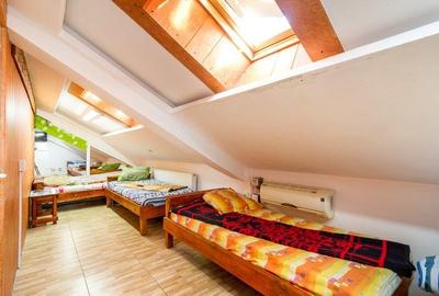 Vanzare vila cu sau fara afacere P+2E+M | Mihai Bravu - Stadion Olimpia | - 6