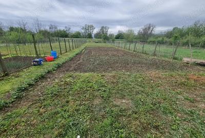 Casă cu Teren 1120 Mp în Central - 3