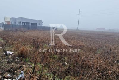 Spațiu comercial, în Sântandrei