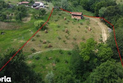 Teren de 6200 mp, în Cicănești - 16