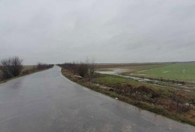 Teren de 25000 mp, în Căteasca - 1