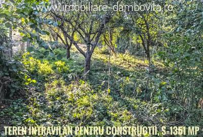 Teren de 2698 mp, în Gura Ocniței - 7