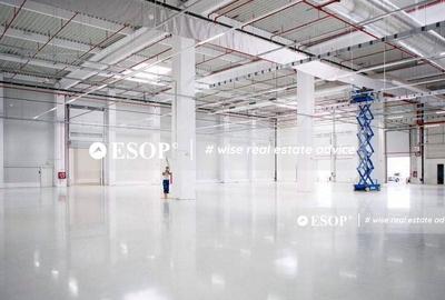 Spațiu comercial, de 20,000 mp, în Central - 1