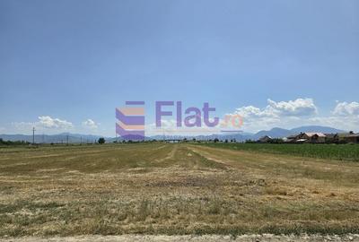 Teren Construcții intravilan de 507 mp, în Hărman - 5