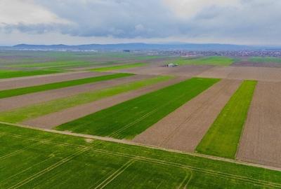 Teren agricol extravilan de 17700 mp, în Prejmer - 2