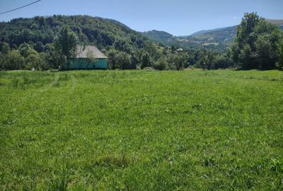 Spațiu comercial, în Tranișu - 1