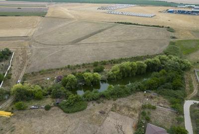 Teren de 7900 mp cu balta de pescuit in Frumu?eni - 2