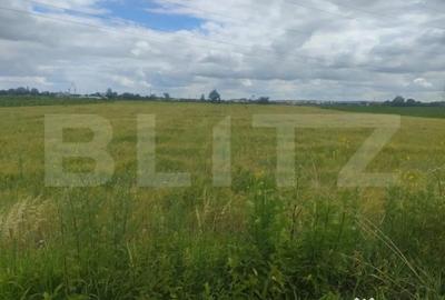 Teren de 6600 mp, în Rădăuți