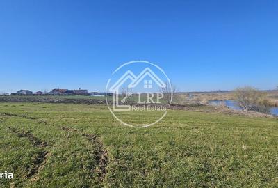 Spațiu comercial, în Creața - 6