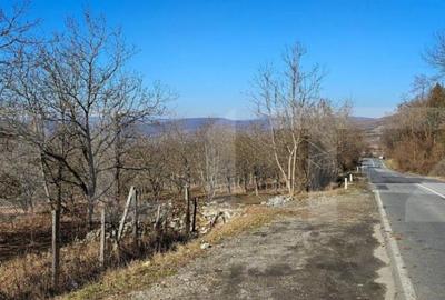 Teren de 3000 mp, în Central