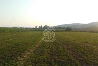 Teren agricol extravilan de 5500 mp, în Jelna - 2