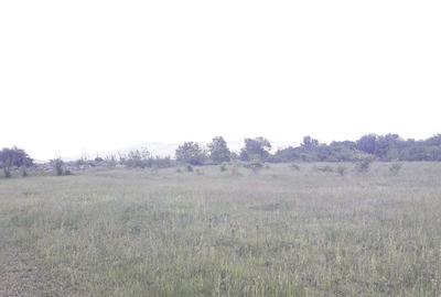 Teren de 2557 mp, în Iazu - 4