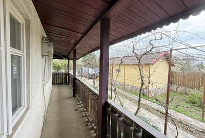 Snagov Izvorani casa locuibila cu livada de pomi fructiferi - 14