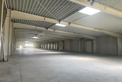 Hala de vanzare, situata in Sanandrei, judetul Timis - 6