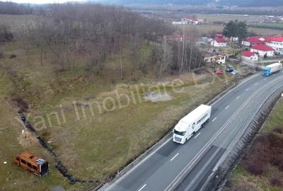 Teren de 10141 mp, în Dedulești - 12