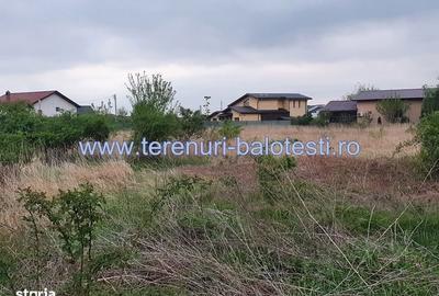 Spațiu comercial, în Balotești - 15