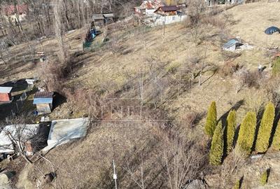 Teren intravilan Slanic Prahova - 6