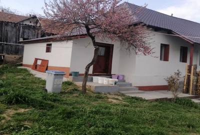 Casă cu 3 camere cu Teren 900 Mp în Central - 6