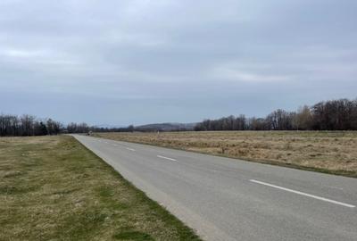 Teren Construcții intravilan de 40000 mp, în Teișani - 3