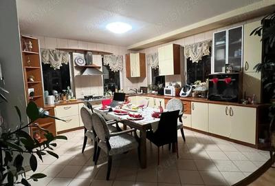 Vila exclusivista cu gradina de inchiriat in Cluj-Napoca, cartier Borhanci - Strada Rozmarinului - 1