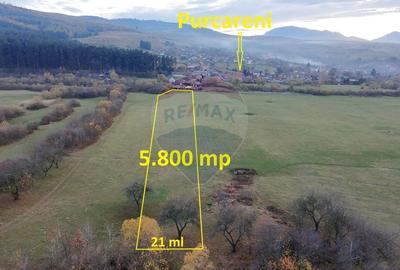 Teren 5.800 mp Purcareni curent, gaz, apa / Strada 30 decembrie - 2
