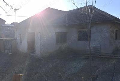 Casă cu 3 camere cu Teren 1400 Mp în Vintere - 4