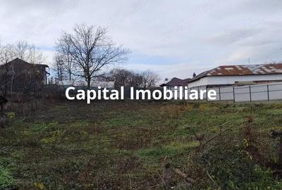 Teren Intravilan Baicoi 1061 mp - 3